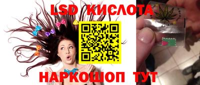 ПСИЛОЦИБИНОВЫЕ ГРИБЫ Бузулук