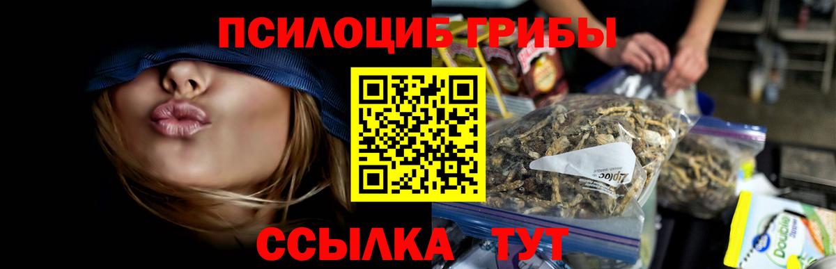 Псилоцибиновые грибы мухоморы  цены   Вход с VPN  Тельмана  Псилоцибиновые грибы GOLDEN TEACHER 